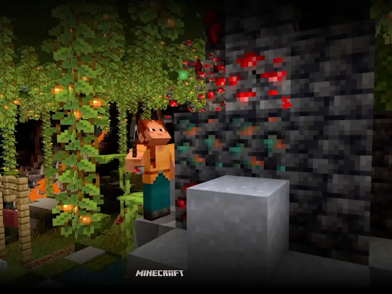 Video illustrating the Minecraft gaming experience